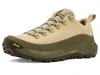 Danner Mtn45 Low Desert Moss In Green