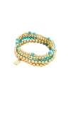 Dannijo Kokab Æ‰‹é•¯ Â€“ É‡‘è‰² & È“�è‰². Å°ºç � All. In Gold