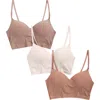 Danskin 3-pack Hidden Cup Molded Wireless Bralette In Multi