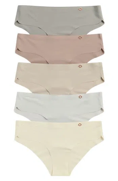 Danskin 5-pack Microfiber Dolphin Leg Hipster Briefs In Multi