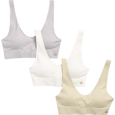 Danskin Assorted 3-pack Missy Laser Seamless Bralette In Multi