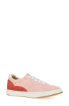 Dansko Josey Low Top Sneaker In Pink Suede