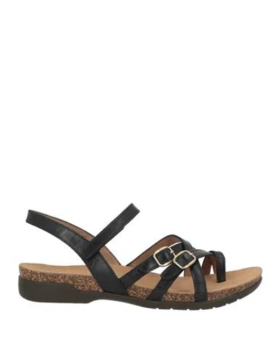 Dansko Woman Thong Sandal Black Size 9 Leather