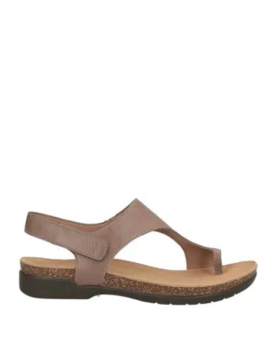 Dansko Woman Thong Sandal Khaki Size 7 Leather In Multi