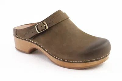Dansko Women's Berry Mule In Mushroom In Grey