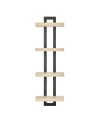 Danya B 4-tier Ladder Bracket Floating Wall Shelves, Black Metal Finish In White Birch