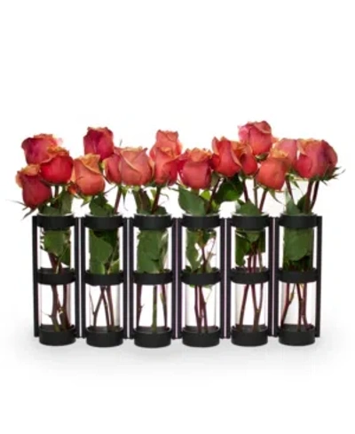 Danya B . 6 Wide Tube Hinged Vases In Black