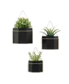 Danya B Modern Geometric Metal 3-piece Wall Planters Set In Black,gold