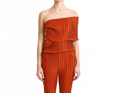 Daphne Valente Delos Top In Ginger In Multi