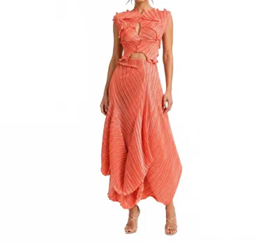 Daphne Valente Marathon Midi Skirt In Coral In Pink
