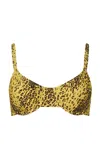 Dar Zéro Studio Printed Underwire Bikini Top In Animal Print