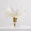 Darby Creek Trading Bleached Pampas Grass Arrangement In Gold