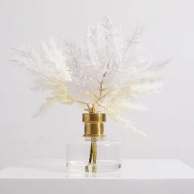 Darby Creek Trading Bleached Pampas Grass Arrangement In Gold