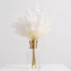 Darby Creek Trading Bleached Pampas Grass Arrangement In Gold