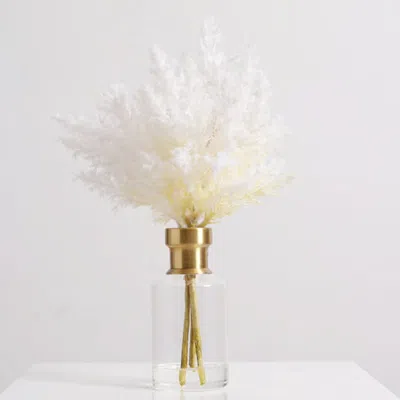 Darby Creek Trading Bleached Pampas Grass Arrangement In Gold