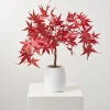 Darby Creek Trading Faux Japanese Maple Bonsai Style Topiary Potted Tree In Red
