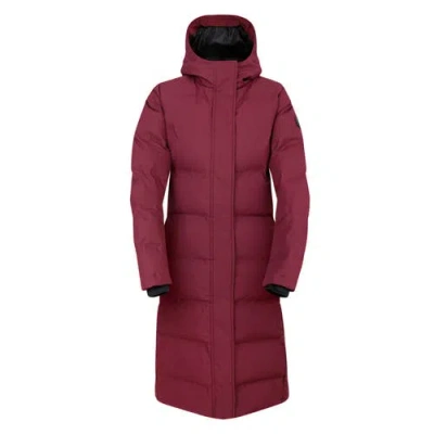 Dare 2b Wander Padded Jacket In Fig
