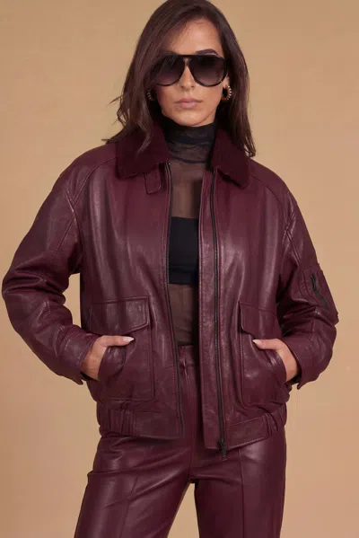 D'arienzo Bordeaux Leather Bomber Jacket With Detachable Sherling Collar In Purple