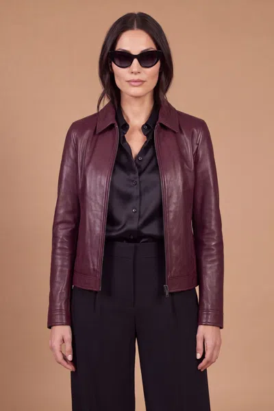 D'arienzo Bordeaux Nappa Leather Jacket With Shirt Collar Smooth Effect In Purple