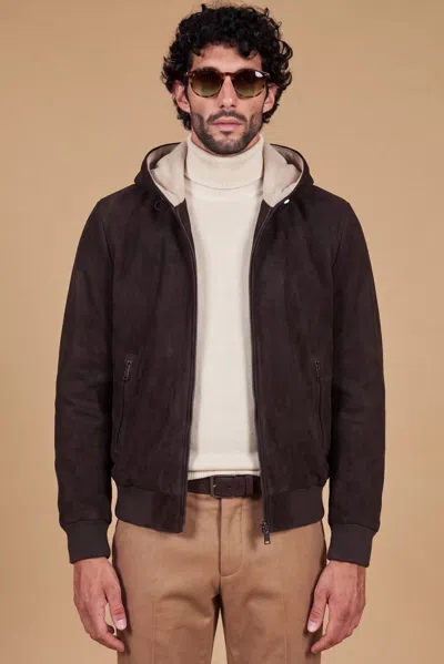 D'arienzo Dark Brown Hooded Suede Bomber Jacket With Pure Cashmere