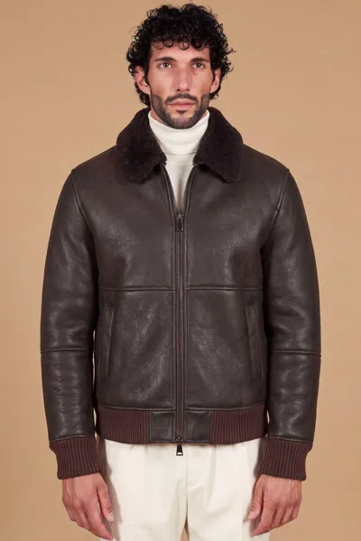 D'arienzo Dark Brown Shearling Bomber Jacket Shirt Collar In Multi