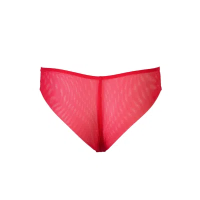 Darily Underwear Women's Pink / Purple Brazilian Panties Flamingo In Pink/purple
