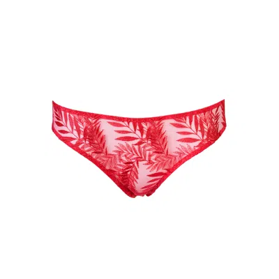Darily Underwear Women's Pink / Purple Classic Brazilian Panties Flamingo In Pink/purple