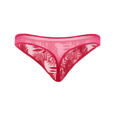 Darily Underwear Women's Pink / Purple String Panties Flamingo In Pink/purple