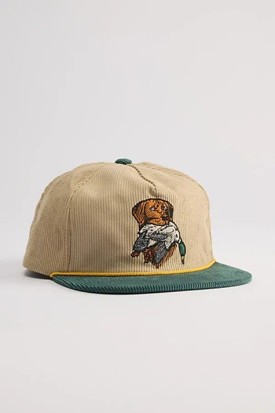 Dark Seas Loyal Dog Corduroy Hat In Khaki, Men's At Urban Outfitters