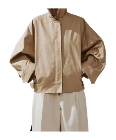 Darkpark Celine Belted High-neck Jacket In Brown