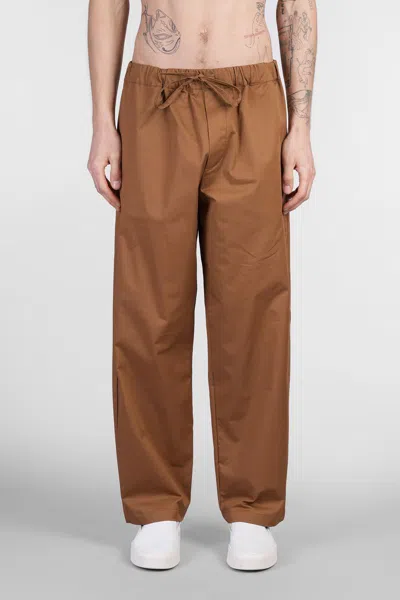 Darkpark Ian Pants In Brown