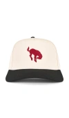 Darlin Horse Cap In Cream & Red