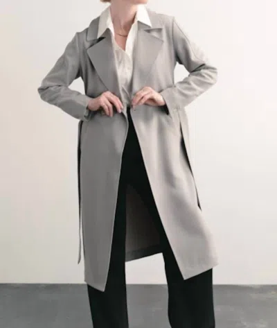 Darling Haze Trench Coat In Pebble In Grey