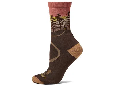 Darn Tough Vermont Northwoods Micro Crew Midweight With Cushion Women's Crew Cut Socks Shoes Earth: Sm (us 4.5-7) In Brown