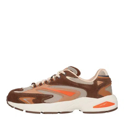 Date D.a.t.e. Sneakers Brown In Marrone Scuri
