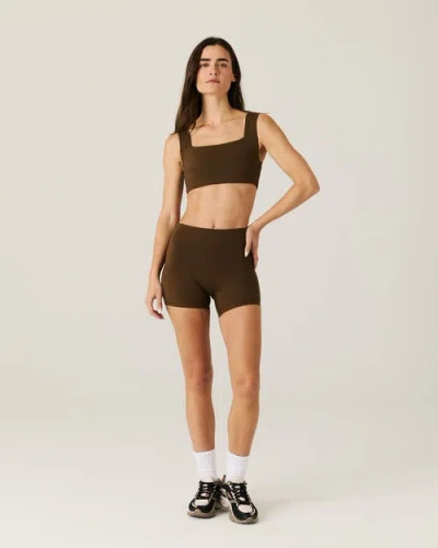Daughter Lessons Cruise Shorts In Brown