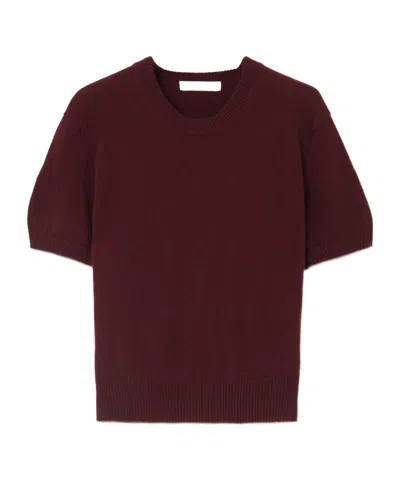 Daughter Loose Short-sleeve T-shirt In Burgundy