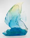 Daum Maya Small Platax Fish