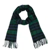 David & Young Soft Plaid Winter Scarf In Green
