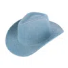 David & Young Women's Glitter Embellished Denim Cowboy Hat In Multi