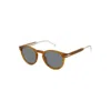 David Beckham Db 1111/s B4l(ir) In Brown