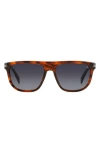 David Beckham Eyewear 56mm Square Sunglasses In Brown Horn