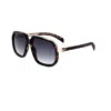 David Beckham Men's 57 Mm Grey Sunglasses In Brown