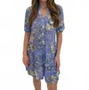 David Cline Annabel Snap Front Tier Dress In Capri