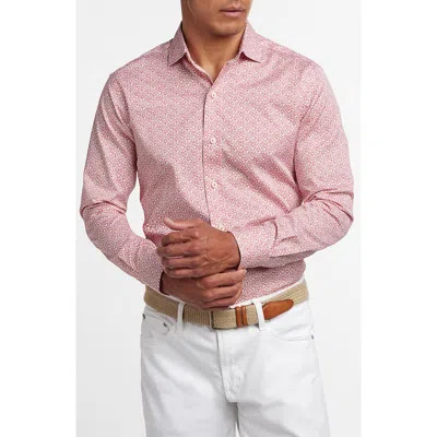 David Donahue Micropaisley Cotton Button-up Shirt In Pink