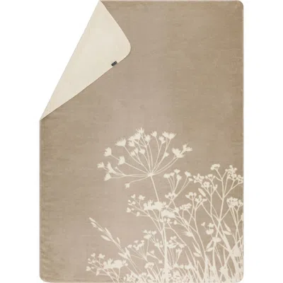 David Fussenegger Floral Throw In Ecru