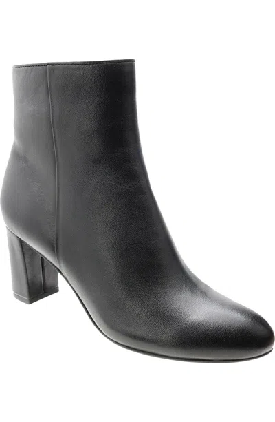 David Tate Alison Boot Women's Black Almond Toe Block Heel Bootie Rhs6406 In Brown