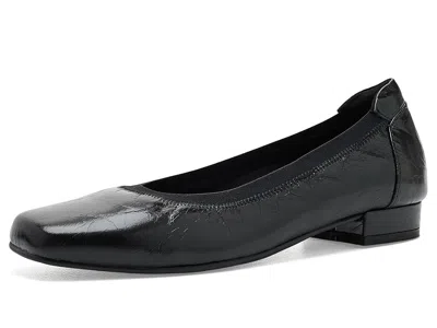 David Tate Arch Women's 1-2 Inch Heel Shoes Black Leather: 7 W (d)
