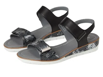 David Tate Civic In Black