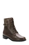 David Tate College Bootie In Brown